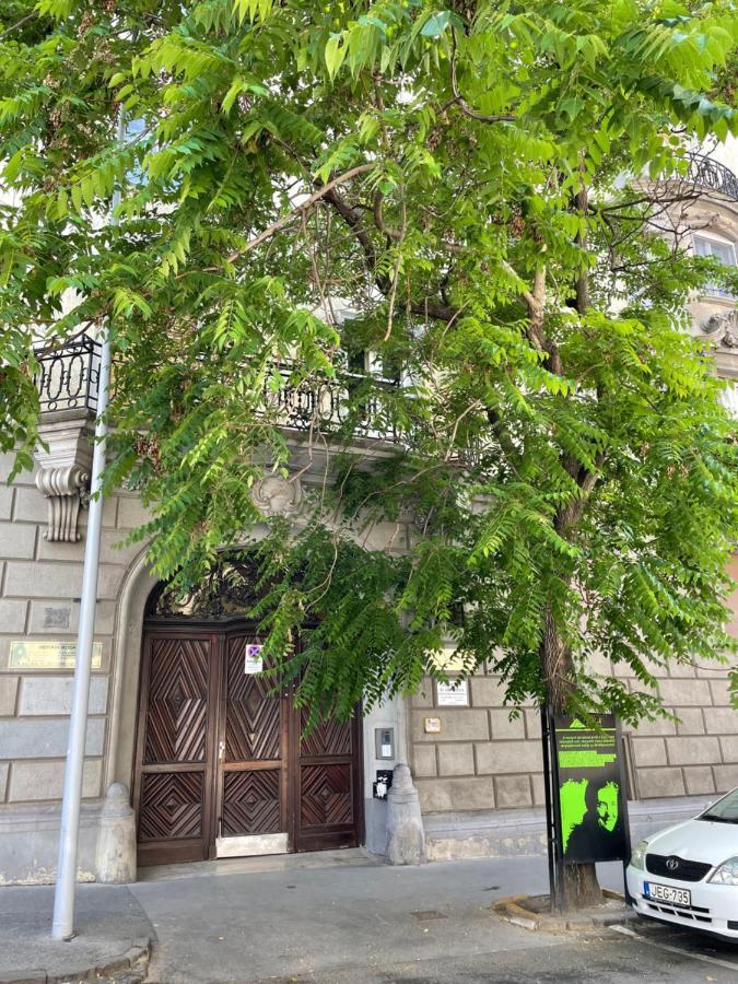 Buda Castle Apartment Budapest Bagian luar foto